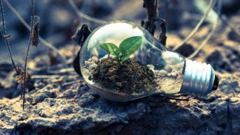 email list growth