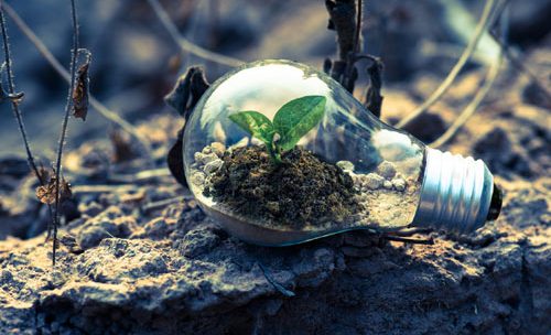 email list growth