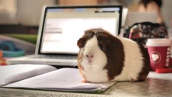 time management strategies