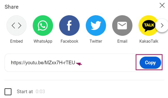 copying the YouTube video url
