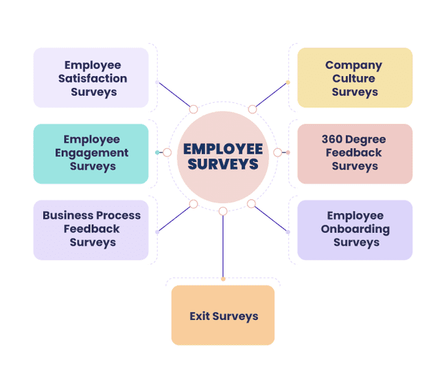 employee feedback program and survey