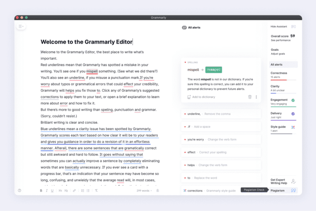 Grammarly editor interface for proofreading and editing